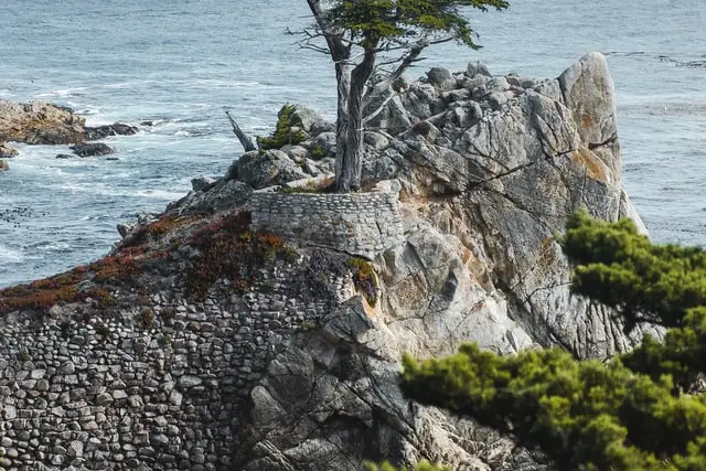 The Lone Cypress on its rock above the ocean along 17-Mile Drive